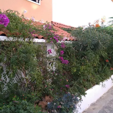 Ocean View アデヘ